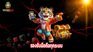 vipmgm8 เข้าสู่ระบบง่าย รองรับมือถือทุกระบบ